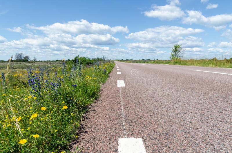 Beautiful blossom road side in a low perspective image royalty free stock photos Beautiful blossom road side in a low perspective image royalty free stock photos