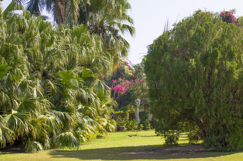Beautiful Blossoming Garden In Udaipur Sahelion Ki Bari Stock Image - Image of udaipur, bari ... Beautiful Blossoming Garden In Udaipur Sahelion Ki Bari Stock Image - Image of udaipur, bari ... on Garden Ki Design id=72209