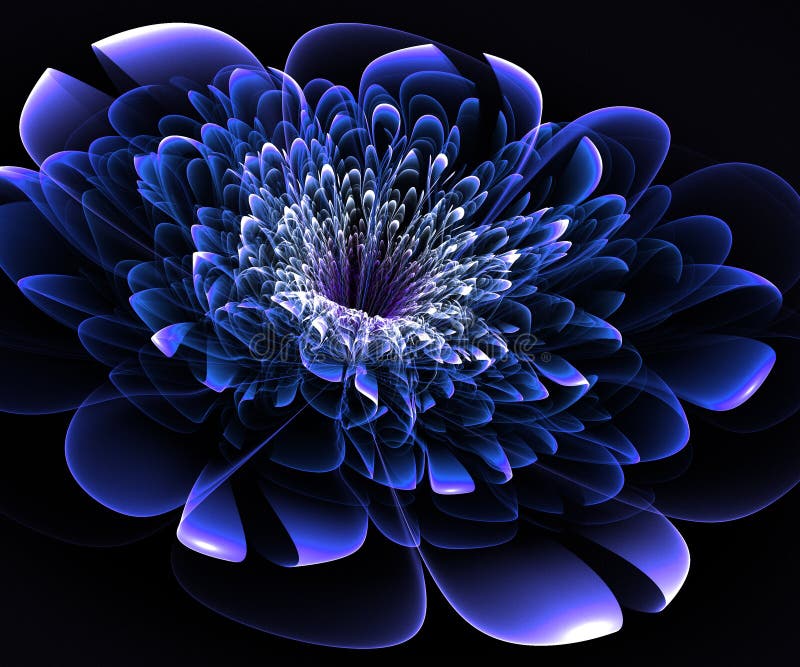 Beautiful Blue Flower on Black Background Stock Illustration