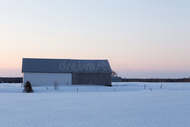 Beautiful blue hour winter view of patrimonial grey barn with steep metal roof in snowy field royalty free stock photos Beautiful blue hour winter view of patrimonial grey barn with steep metal roof in snowy field royalty free stock photos