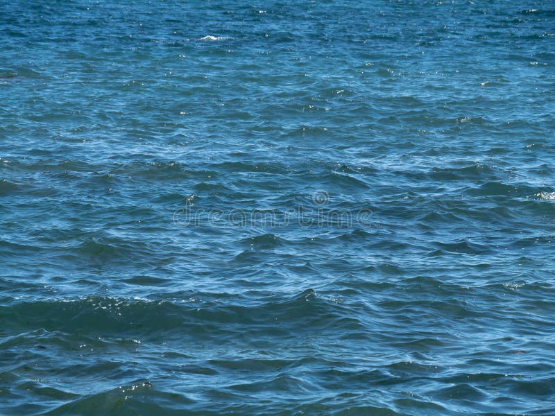Beautiful Blue Water Surface As a Background. the Texture of Water