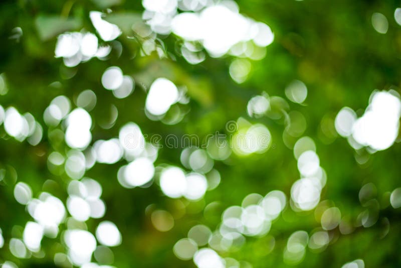 Beautiful Blur Background, Bokeh on Nature. Stock Photo - Image of blurry,  abstract: 102010074