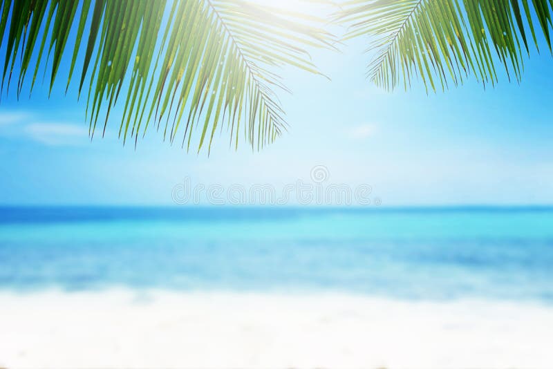 Beautiful Blurred Beach Background. Stock Photo - Image of relax, blur:  136382716