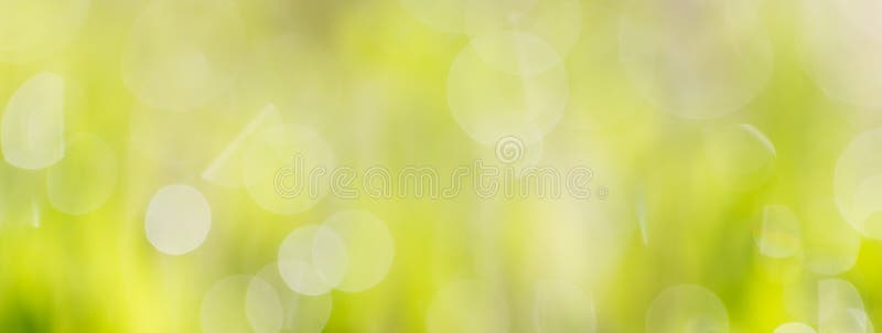 Beautiful bokeh green nature royalty free stock photography Beautiful bokeh green nature royalty free stock photography