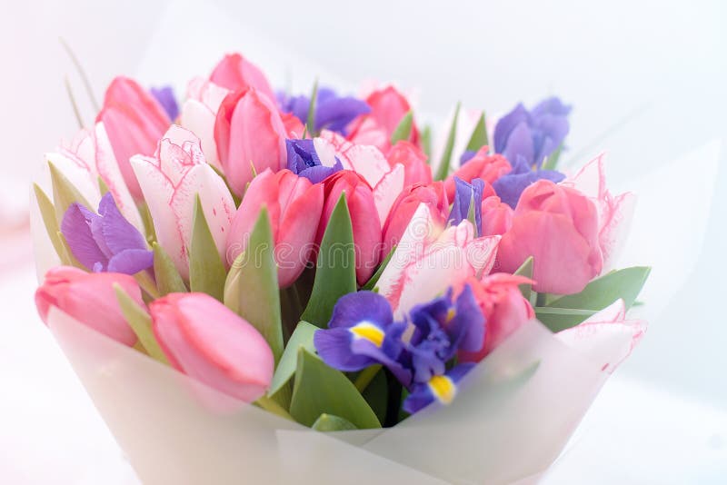 Beautiful bouquet of blooming pink, yellow and white tulips. Flowers as a gift for Women&#x27;s Day