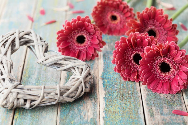 Beautiful bouquet from gerbera daisy flowers with wicker heart for womans or mother day on wooden vintage background.