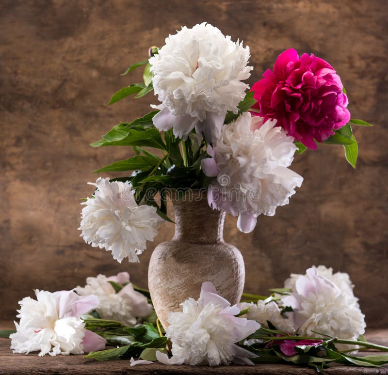 Beautiful Bouquet of Peonies Stock Image - Image of arrangement, petal ...