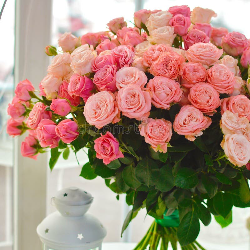 Beautiful bouquet of pink rose bushes at a window stock photography Beautiful bouquet of pink rose bushes at a window stock photography