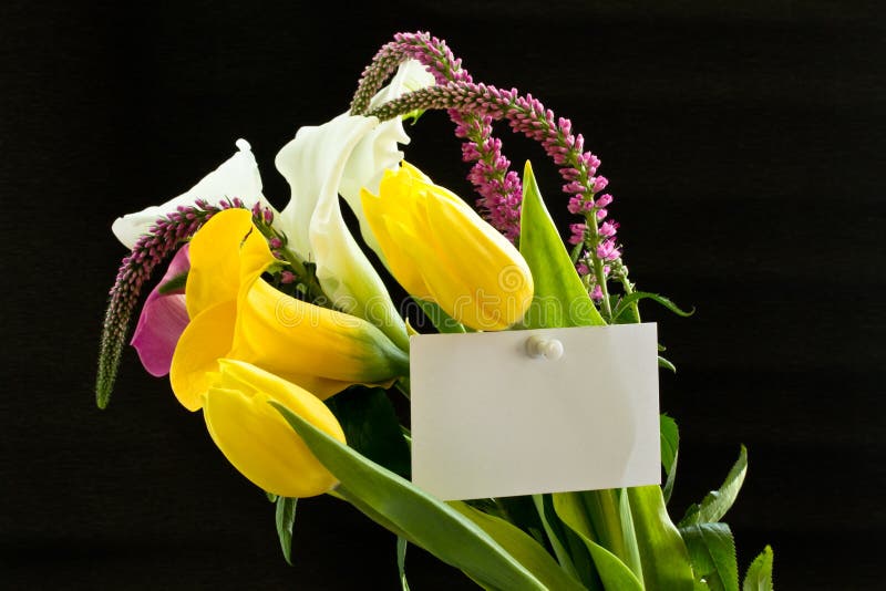 Beautiful Bouquet Of Tulips And Calla Lilies Stock Image Image of