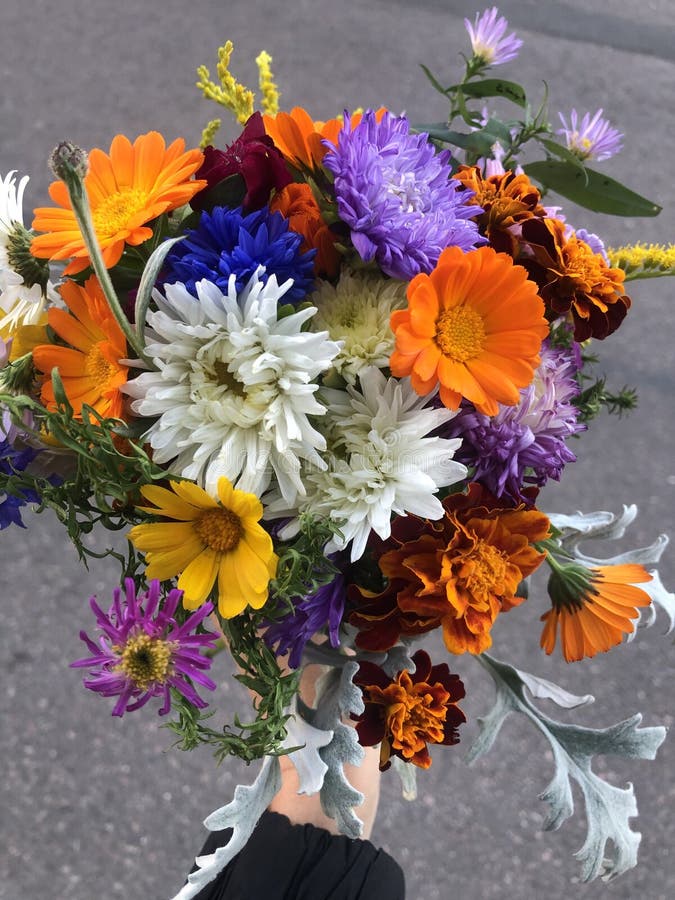 Beautiful Bouquet of Wild Flowers Stock Image Image of view, green