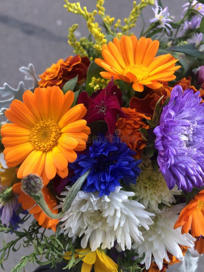 Beautiful Bouquet of Wild Flowers Stock Photo Image of summer, nature