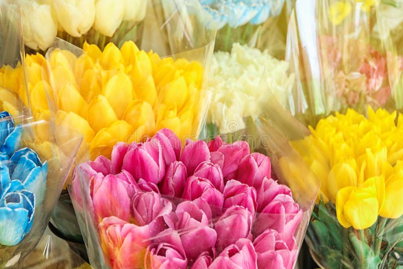Beautiful bouquets stock image. Image of daisy, nature - 20913693