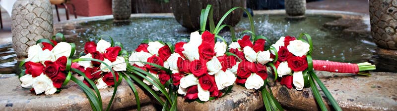 Beautiful Bride & Bridesmaid Flowers