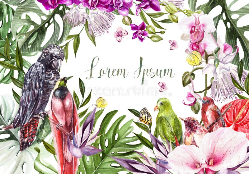 Beautiful bright colorful watercolor card with tropical leaves and flowers, birds. royalty free illustration Beautiful bright colorful watercolor card with tropical leaves and flowers, birds. royalty free illustration