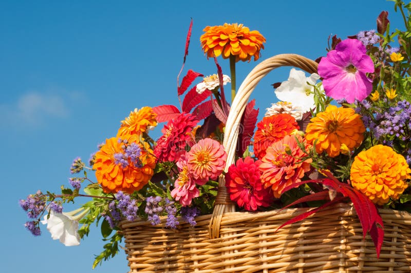 Beautiful, bright fall flowers in a wicker basket