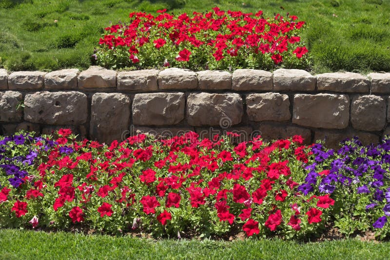 Beautiful Bright Flower Beds In Park Stock Image Image 8519651