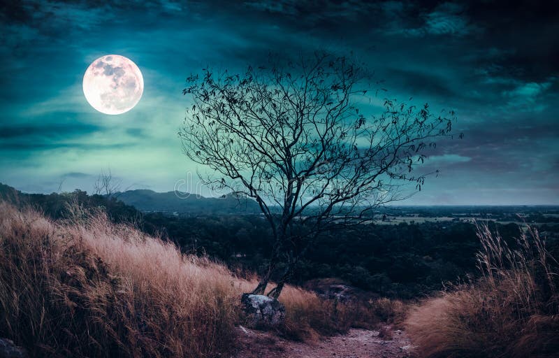 Landscape of dark night sky with clouds. Beautiful bright full moon above wilderness area in forest. Serenity nature background. Hiking trail in the wilderness