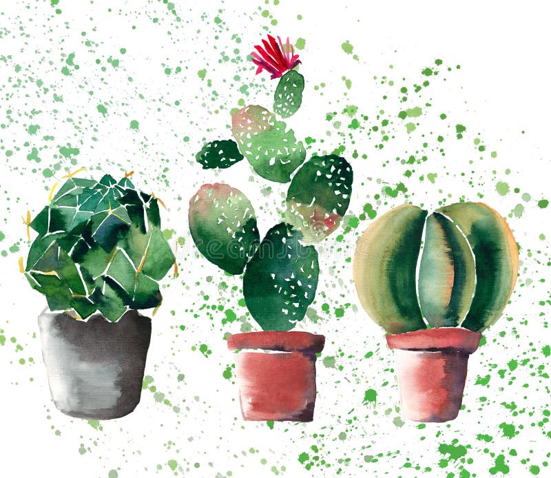 Beautiful bright herbal beautiful wonderful floral herbal gorgeous cute spring colorful three cactus in clay pots watercolor