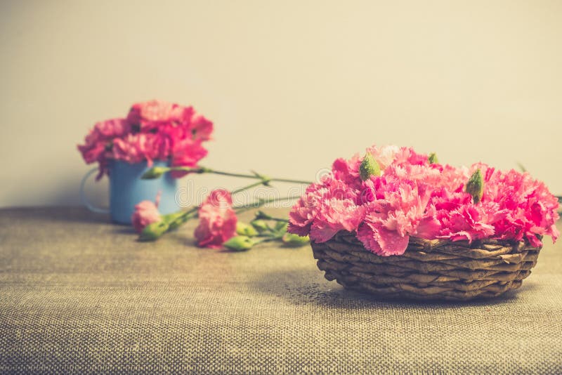 Beautiful bright pink carnation petals on Small basket. Vintge image style stock images