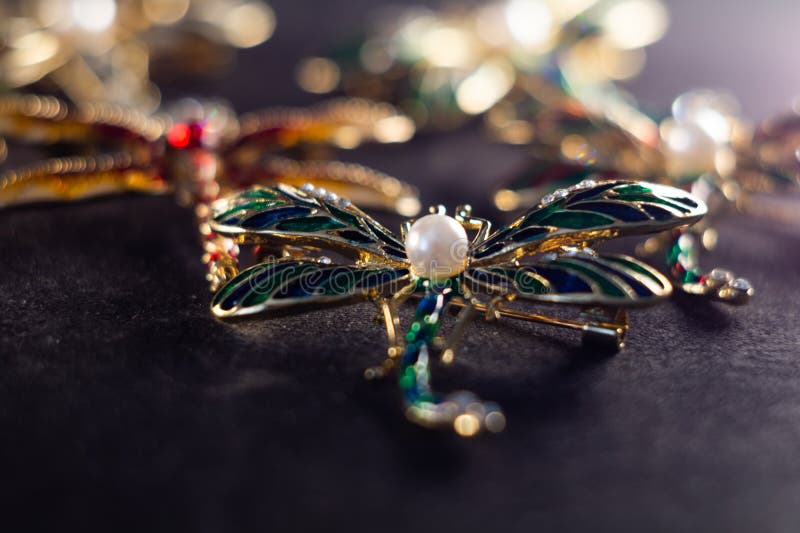 Beautiful Brooches in the Form of a Dragonfly Stock Photo Image of elegance, precious 262459310