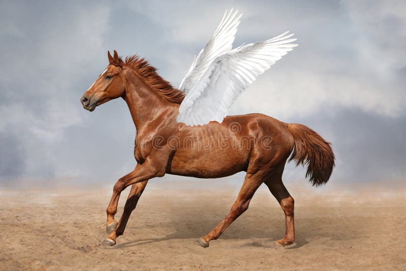 Pegasus Galloping Stock Photos Free & RoyaltyFree Stock Photos from