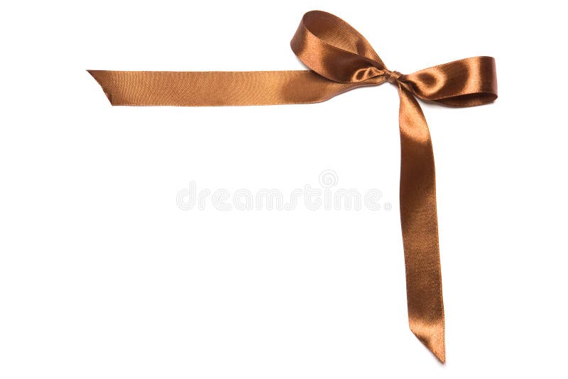 Embroidered Flat Style Brown Ribbon Isolated On Ivory Background