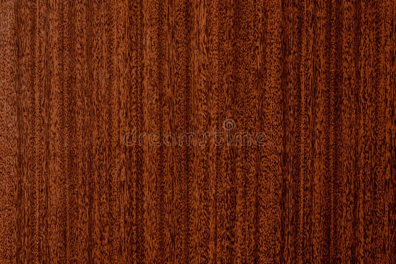 Beautiful Brown Wood Background on Lacquered Textured Plywood Stock Image -  Image of nature, wall: 113387789