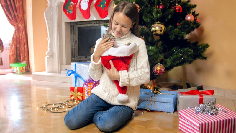 Beautiful brunette teenage girl with kitten sitting under Chrismta tree at living room royalty free stock photography Beautiful brunette teenage girl with kitten sitting under Chrismta tree at living room royalty free stock photography
