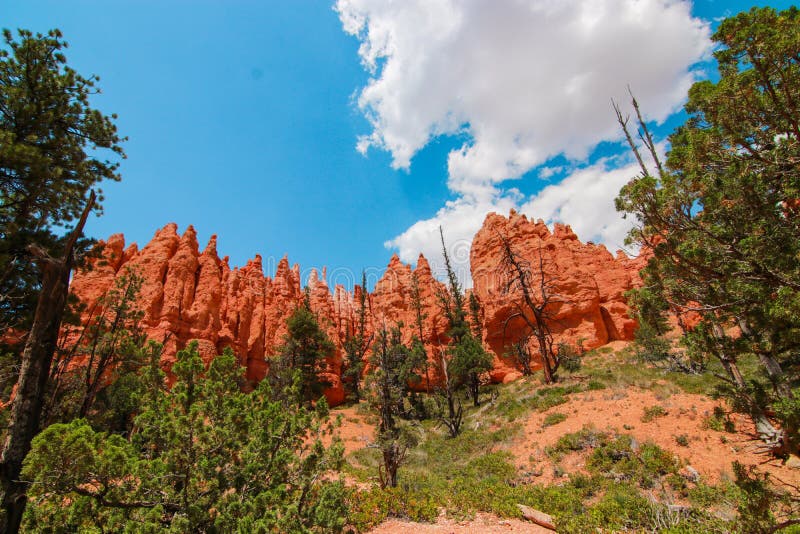 Beautiful Bryce Canyon National Park in Utah, USA. Orange rocks, blue sky. Giant natural amphitheaters and hoodoos formations.