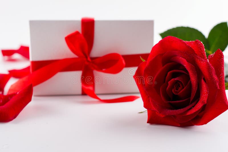 Beautiful bud velvet red rose flower and white gift box with red ribbon on white