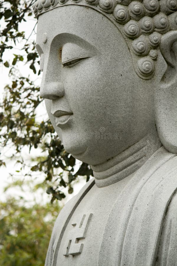 Beautiful Buddha Statue in India Isolated on White. Stock Photo Image