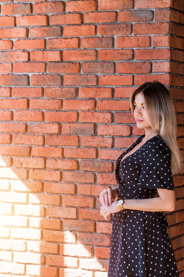 Beautiful businesswoman in dress looking in copy space near the brick wall. royalty free stock images Beautiful businesswoman in dress looking in copy space near the brick wall. royalty free stock images