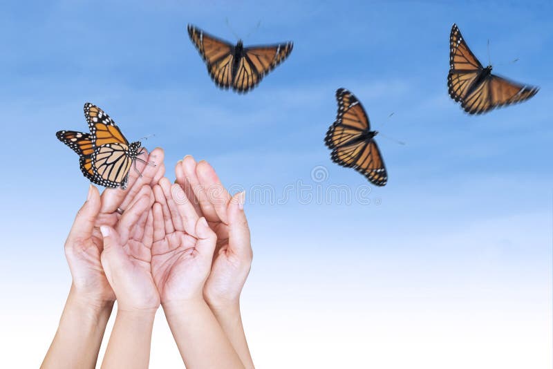 729 Hands Butterflies Stock Photos Free & RoyaltyFree Stock Photos from Dreamstime