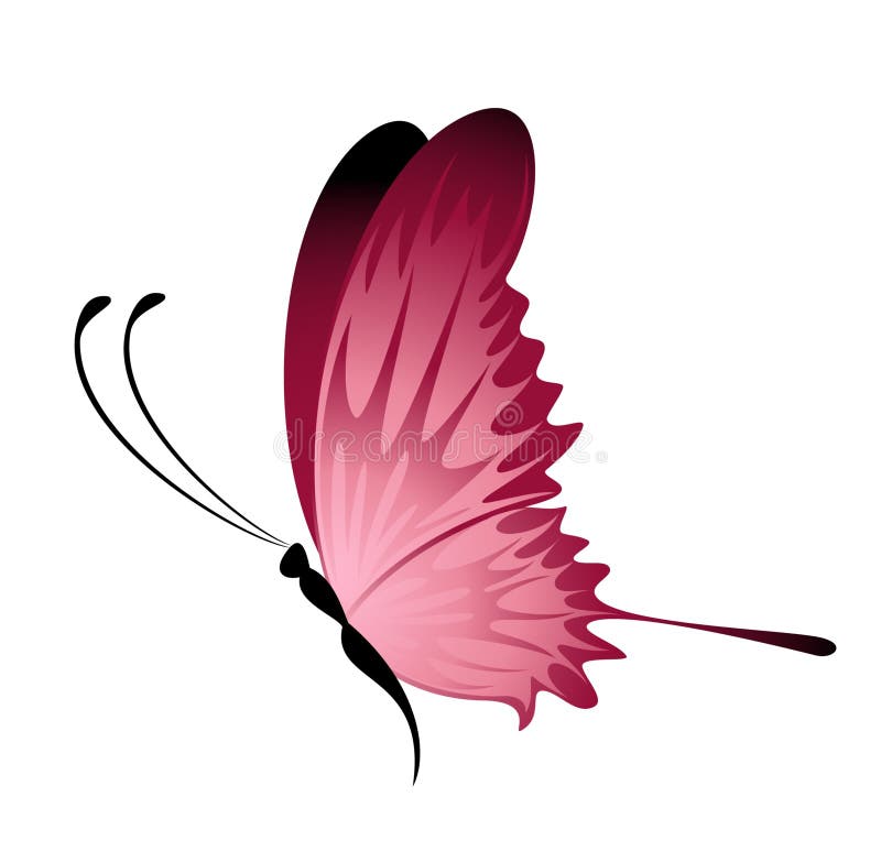 Silhouette Butterfly With Open Wings And Delicate Stock ...