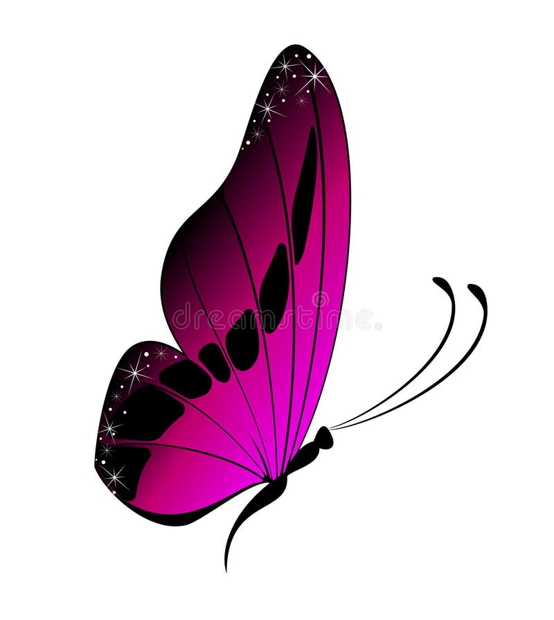 Beautiful butterfly