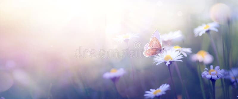 Beautiful Butterfly and abstract background with spring blooming flowers spring blossoms landscape