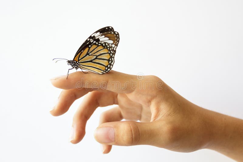 Beautiful butterfly sitting on the girl hand.