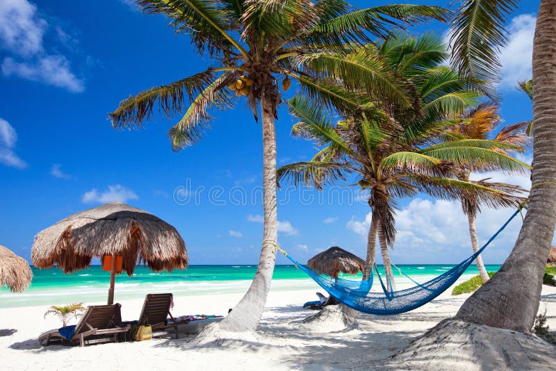 Beautiful Caribbean beach