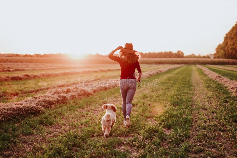beautiful caucasian woman with her cute brown poodle dog at sunset in countryside. Pets and lifestyle outdoors royalty free stock image beautiful caucasian woman with her cute brown poodle dog at sunset in countryside. Pets and lifestyle outdoors royalty free stock image