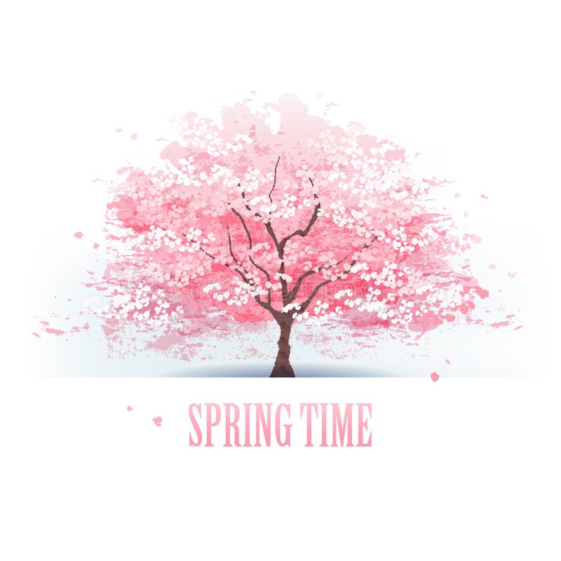 Beautiful cherry blossom tree royalty free illustration