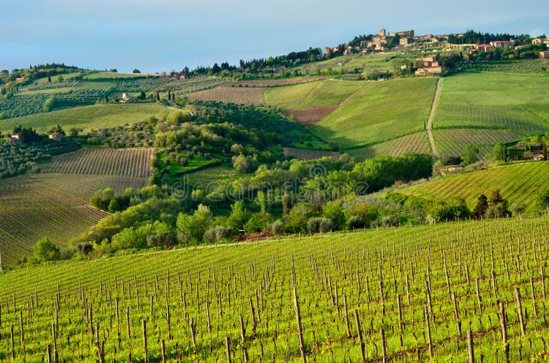 Beautiful Chianti landscape, Tuscany