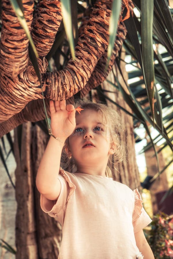 Beautiful child girl touching palm tree concept saving nature lifestyle stock photos