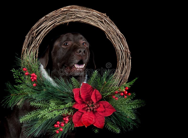 Black Labrador Lab Dog 5" Wooden Ornament With Wreath and Red Bow