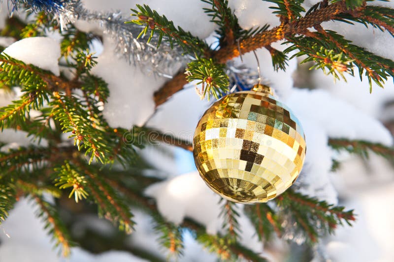 Beautiful Christmas Ball on Christmas Tree Stock Image Image of glass