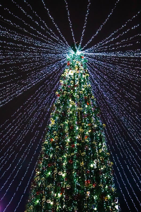 Beautiful Christmas Tree with Decorations and Lights. Christmas Garland