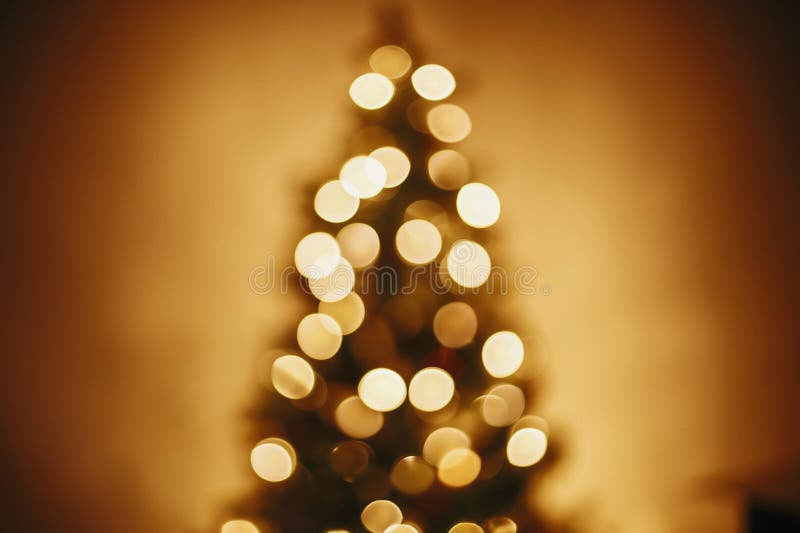 beautiful christmas tree golden lights in festive room. christmas abstract background, blur defocused bokeh of yellow glowing de stock image beautiful christmas tree golden lights in festive room. christmas abstract background, blur defocused bokeh of yellow glowing de stock image
