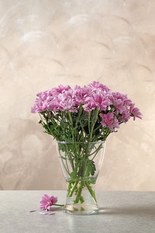 Beautiful Chrysanthemum Flowers in Glass Vase Stock Photo - Image of ...