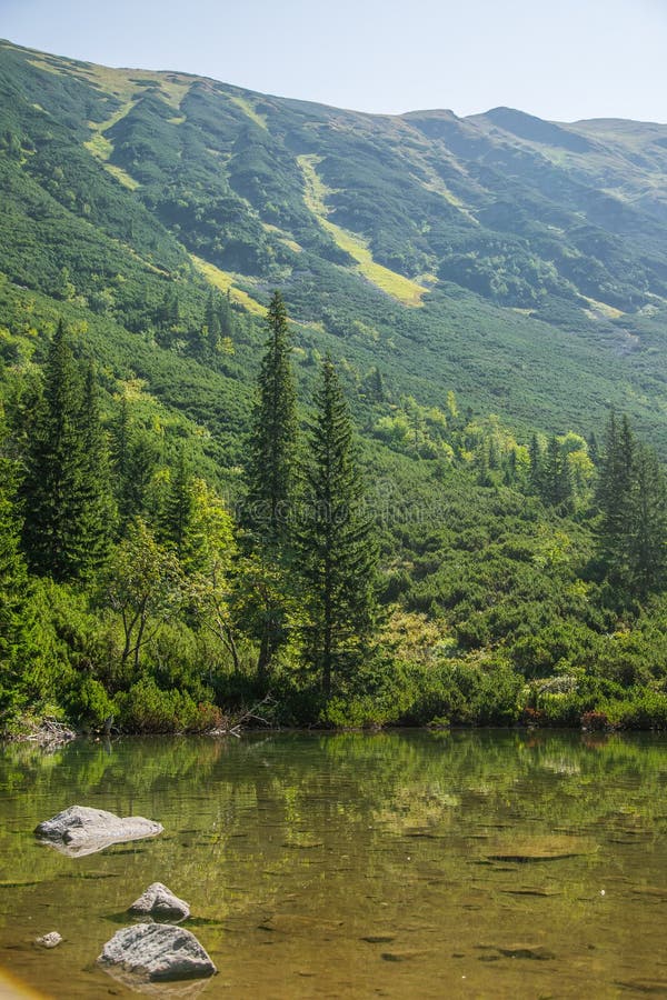 A beautiful, clean lake in the mountain valley in calm, sunny day. Mountain landscape with water in summer.