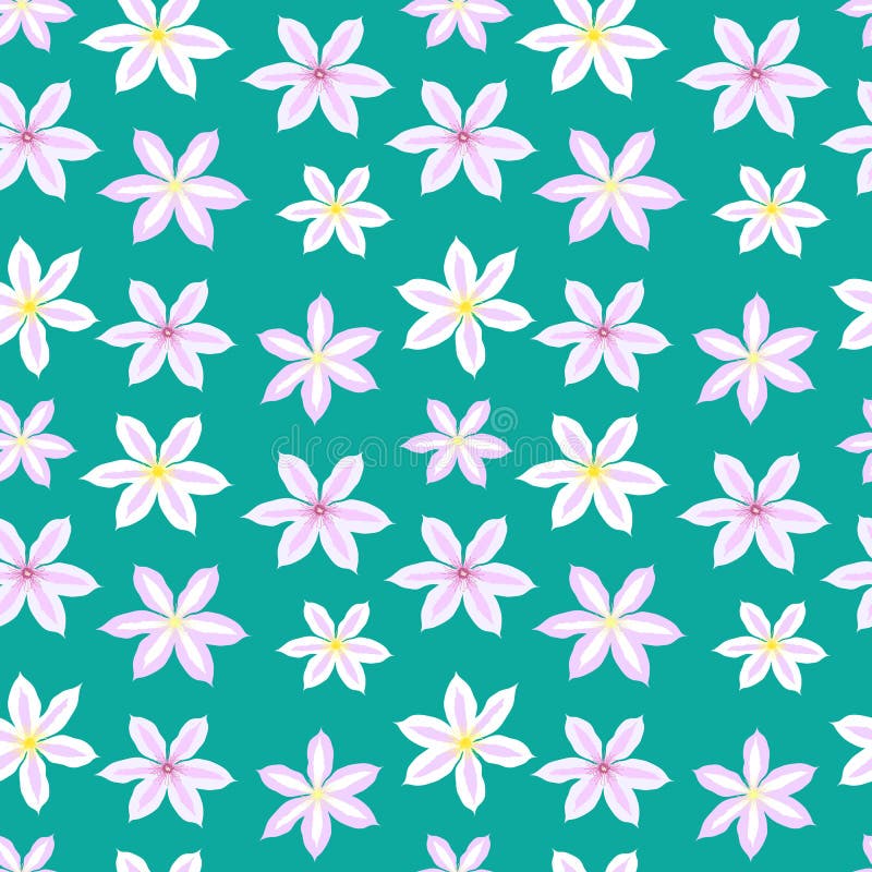 Beautiful clematis flower seamless pattern background. Vector Illustration royalty free illustration