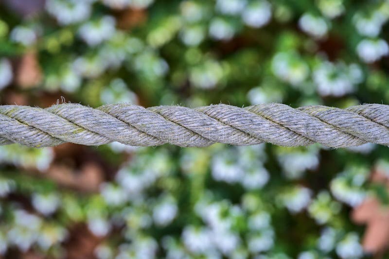 Close up view of old common natural fibers rope on green spring background with soft and selective focus. Rope fence